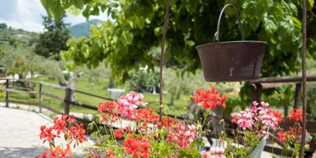 Bando Agriturismo Campania